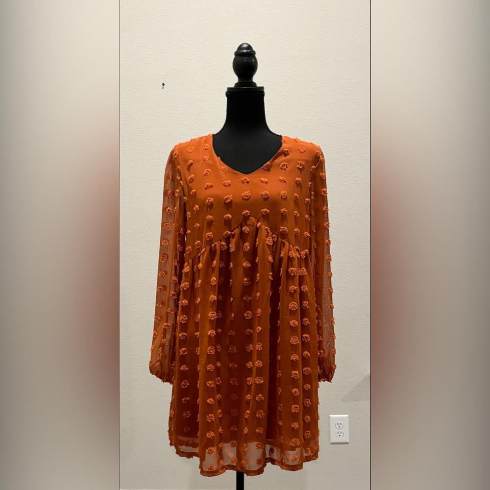 Jasambac Women’s Swiss Dot Dress.